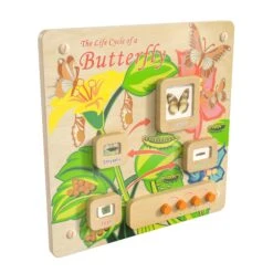 Flash Bright Beginnings Commercial Grade Wooden Butterfly Life Cycle STEAM Wall Accessory Board