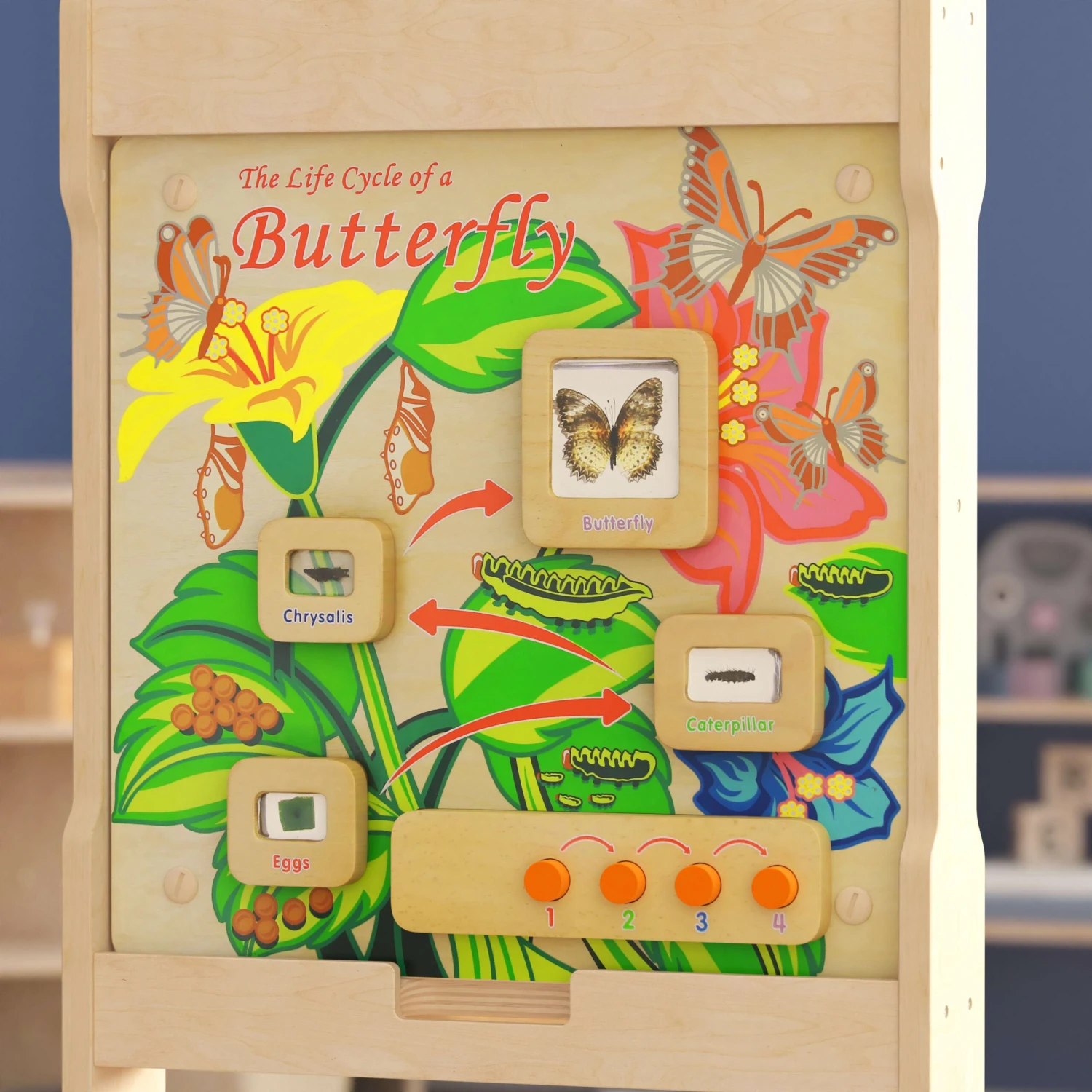 Flash Bright Beginnings Commercial Grade Wooden Butterfly Life Cycle STEAM Wall Accessory Board - Image 6